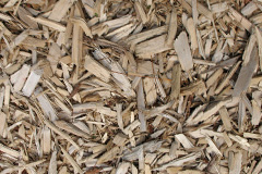 biomass boilers Rhu