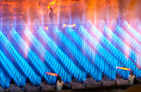 Rhu gas fired boilers